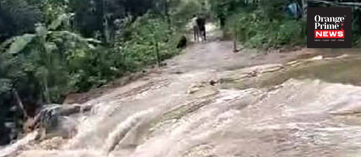 উত্তরবঙ্গে টানা বর্ষণে বিপর্যস্ত পাহাড়, ধস ও নদীর জলবৃদ্ধিতে উদ্বেগ; চালু জরুরি হেল্পলাইন